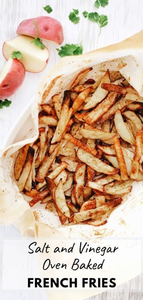 salt and vinegar oven baked french fries pinterest pin